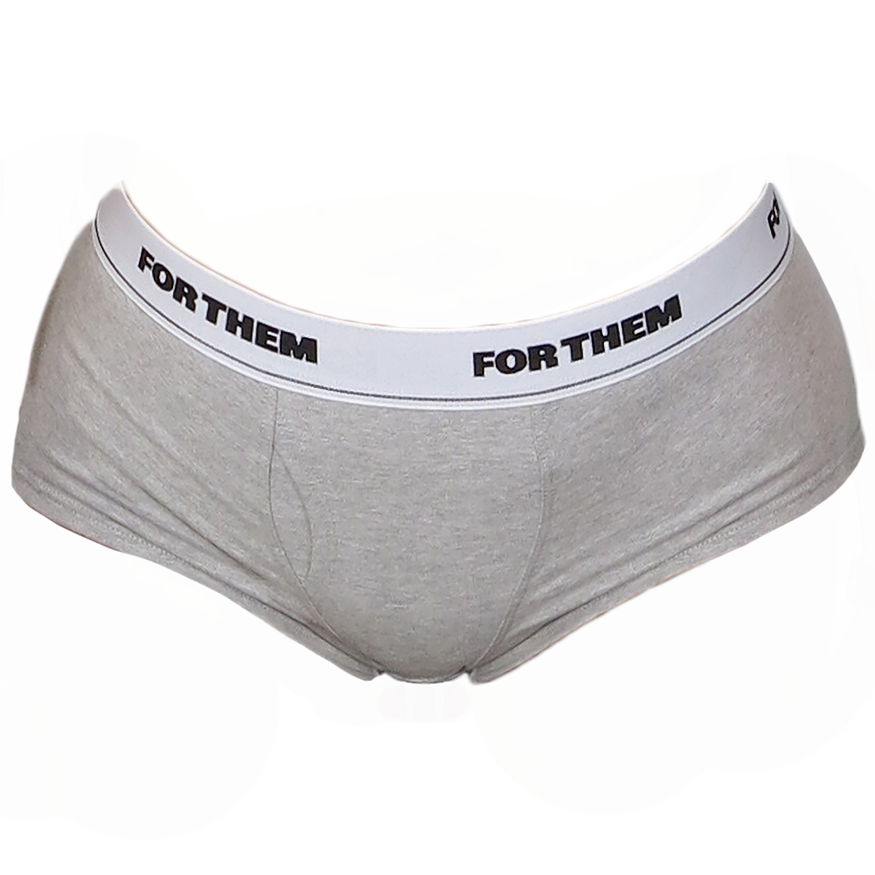Dyke Briefs