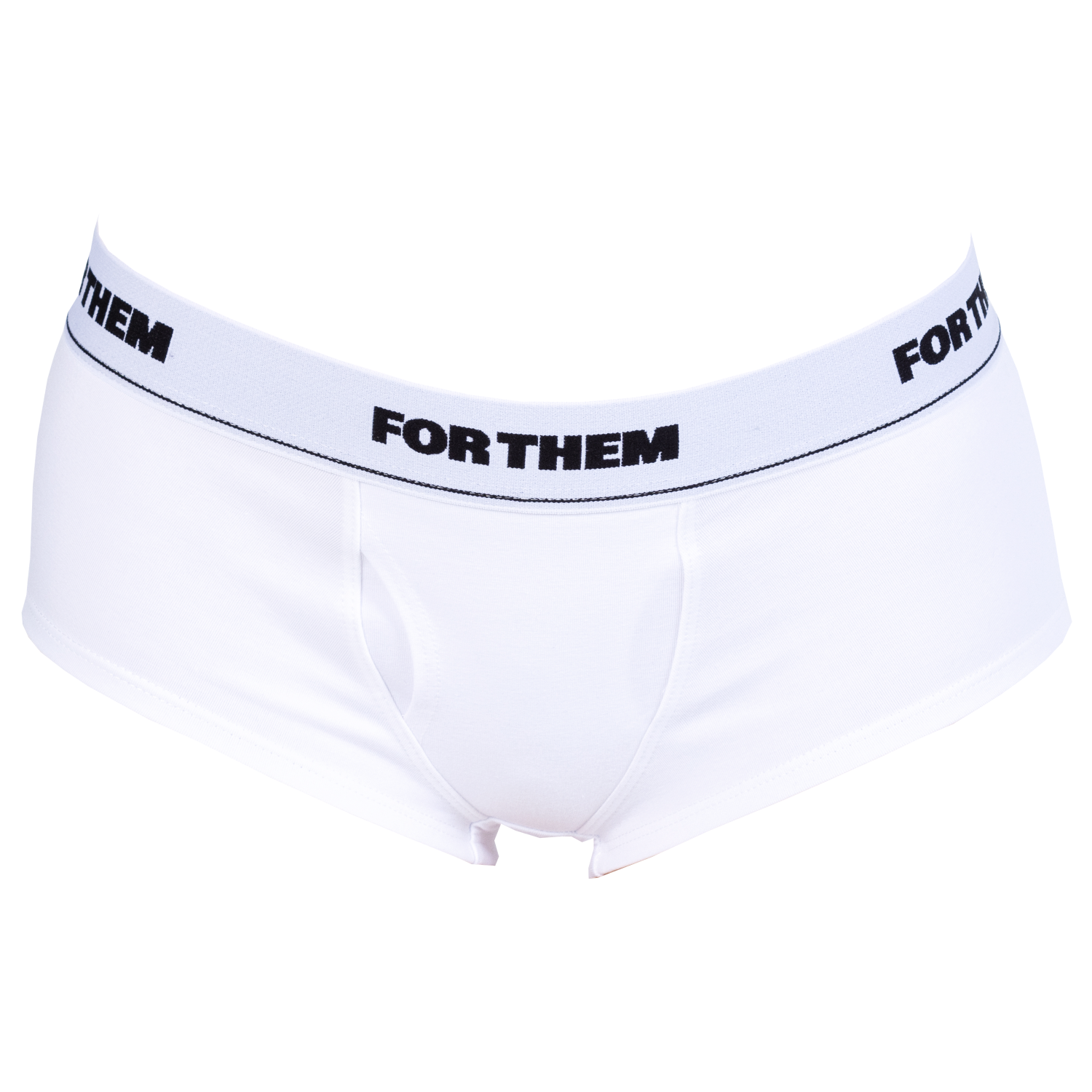 Dyke Briefs